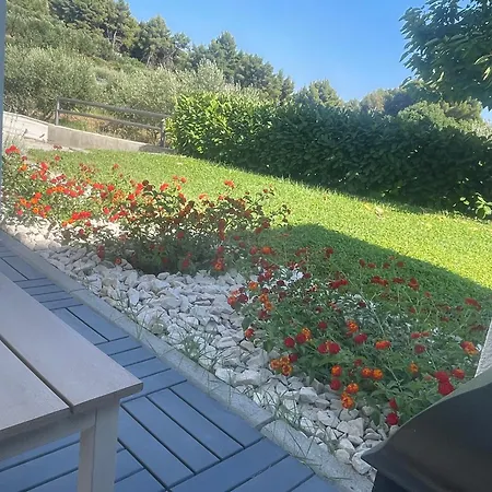 David 73 Apartman